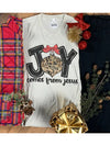 Joy Comes from Jesus Tee