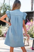 Pretty Little Denim Dress