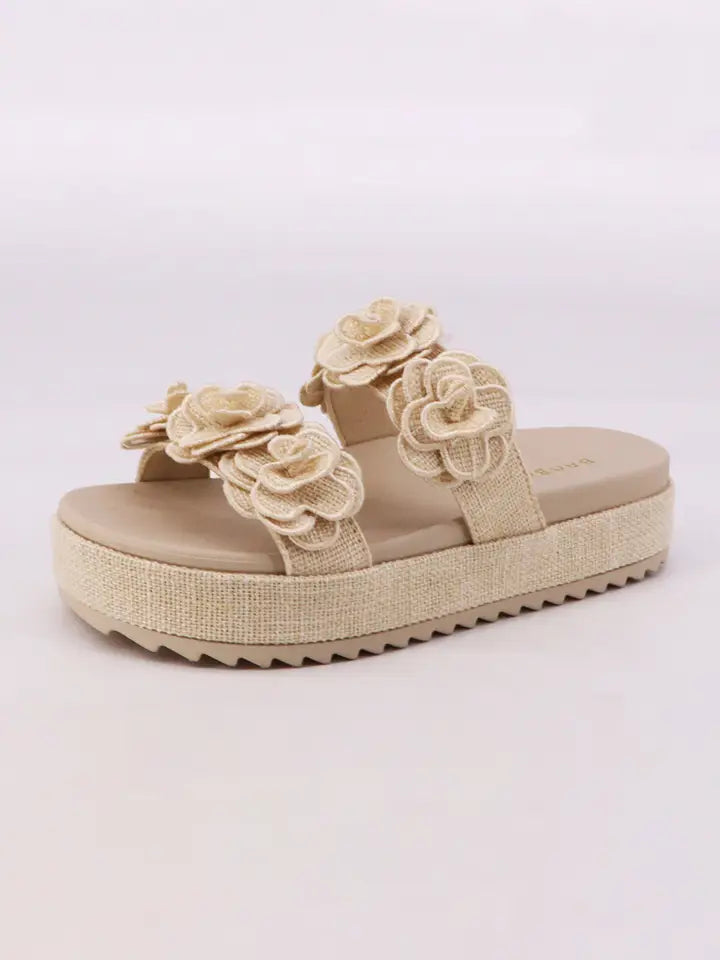 Petal Perfect Platforms
