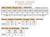 Risen Jeans - High Rise Distressed Flare Jeans
