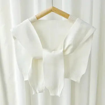 The Essential Shawl